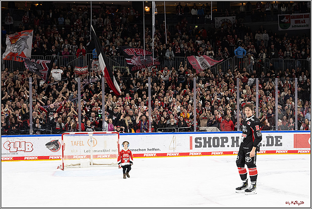 PENNY DEL 1; Kölner Haie - Düsseldorfer EG ; Köln, 16.02.2025